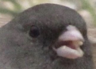 Laugh along with our Mexican memes of the week